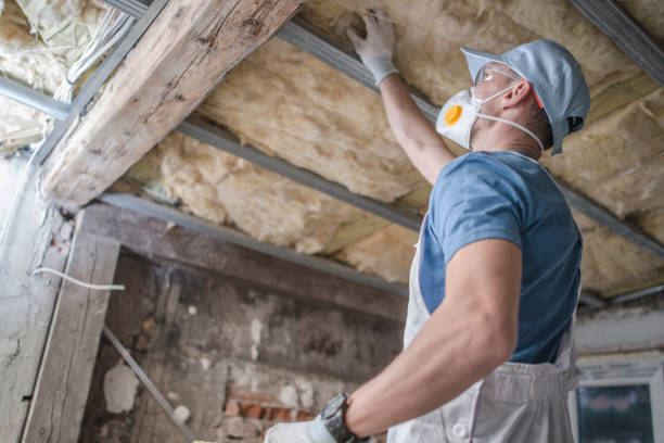 Best Insulation for Specific Applications in Newton, IA