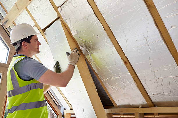 Best Insulation Maintenance and Repair in Newton, IA